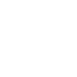 Domain Expertise