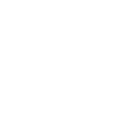 Financial Planning & Analysis